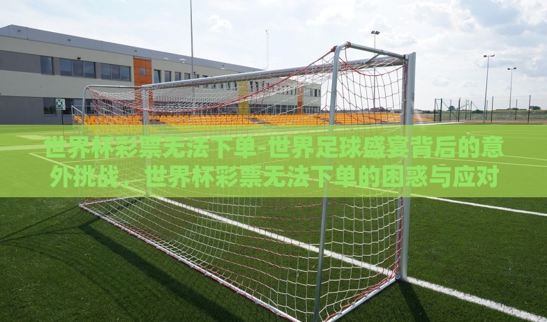 世界杯彩票无法下单-世界足球盛宴背后的意外挑战，世界杯彩票无法下单的困惑与应对