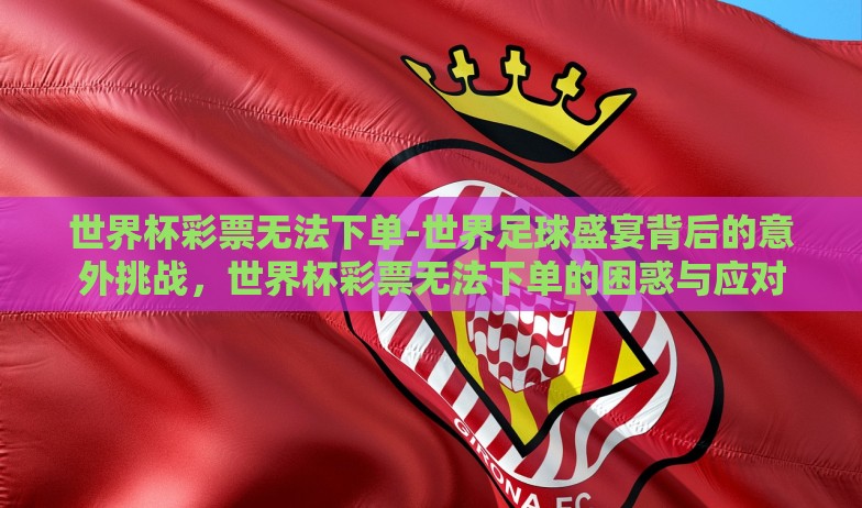 世界杯彩票无法下单-世界足球盛宴背后的意外挑战，世界杯彩票无法下单的困惑与应对