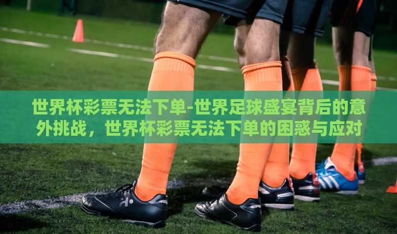世界杯彩票无法下单-世界足球盛宴背后的意外挑战，世界杯彩票无法下单的困惑与应对